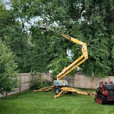 Best Hazardous Tree Removal  in Ridgeland, MS