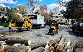Best Fruit Tree Pruning  in Ridgeland, MS
